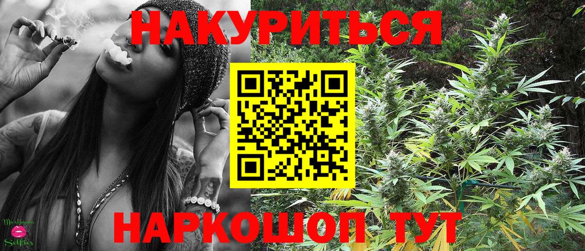 Шишки марихуана план  Конопля Bruce Banner  Алушта  Марихуана план  Вход с VPN 